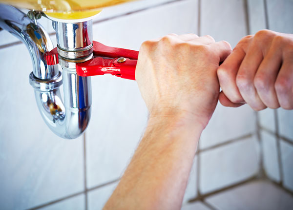About Locustdale Plumbers